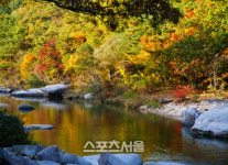 가을이 오가는 그 비단길, 충북 괴산 여행