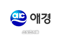애경, 아시아나 인수전 본입찰 참여…항공업 노하우 강조
