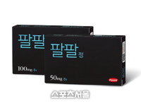 특허법원 