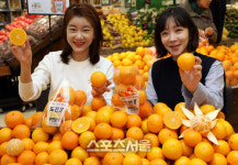 [포토] 이마트, 황금향 한봉지 9980원 판매…기존 대비 45% 저렴해