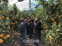 경주시농업기술센터, 만감류 정지전정 교육 및 현장 컨설팅 추진