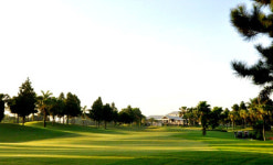 [SS NEW ARRIVAL]엑스골프 겨울맞이 하노이 특별 라운드 특가 상품 출시