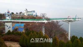 동해시, 도째비골 스카이밸리 운영방안 해법찾기