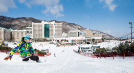 렛잇고~ 더욱 사랑스러워진 홍천의 겨울왕국 비발디파크