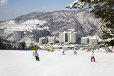 렛잇고~ 더욱 사랑스러워진 홍천의 겨울왕국 비발디파크