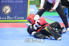 특공무술, 공수도, 태권도 등 무도인들의 축제 무혼대전 성료