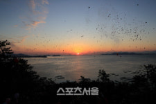 완도군, 2020년 맞이 일출 행사 열어
