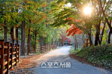 계룡시, 사계를 품은 은빛호수 입암리 마을 종합개발 완료