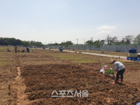 수원시, 도심속 텃밭서 농작물 경작 체험 시민 모집