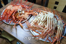 [울진 여행] 되게 멋있다, 대게 맛있다