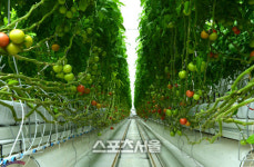 장성군, 농업계학교 실습장 지원사업 선정 국비 확보