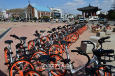 수원시, 무인대여 공유자전거 6월 운영 재개