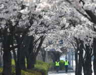 서울시, 주말에 여의도 한강공원 주차장 폐쇄 및 출입구 차단