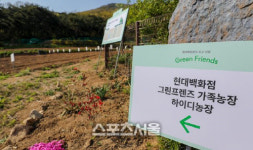 유통업계, 사회적 거리두기 완화에 문화센터·가족농장 꿈틀