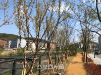 용인시, 양지천 유휴지 1472㎡ 주민휴식공간 조성