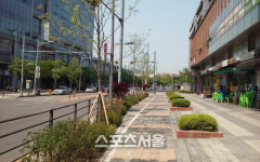 안양시, 평촌대로 녹색의 쾌적함·아늑함 연출
