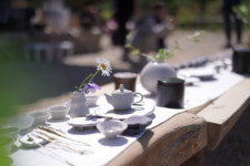 500년 야생차밭에서 차 따고 덖고...다 함께 차차茶