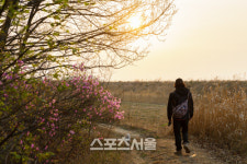 반려견과 함께 걷기 좋은 여행길 5곳