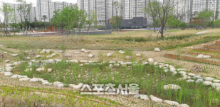 수원시, 망포4지구 글빛누리공원 25일 조기 개장