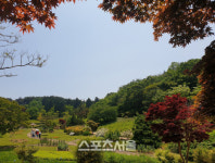 [태안 여행] 울창한 삼림과 푸릇한 해변의 조화가 일품인 휴양지 태안