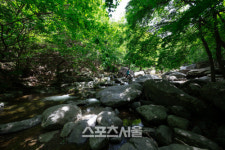 경기관광공사, 백운·어비·석현천 계곡 차박최적지 추천