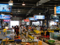 화성시, 궁평항 수산물센터서 완도 활어패류 판매