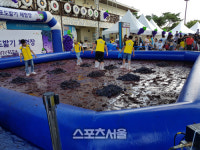 화성시, 가을대표 송산포도 축제 취소... 비대면 판촉행사만
