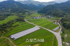 [주말엔]한적한 계곡 따라 유유자적 걸어볼까요 비밀의 숲길 5
