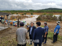 영광군, 법성면 침수 주택 복구 지원 총력