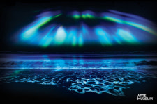 몰입형 미디어아트 전시관 아르떼뮤지엄 제주 애월서 개관