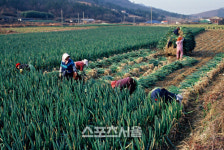 진도군, 채소가격안정제 사업 활성화 간담회 개최