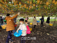 진도군, 3번째 농산물 직거래 팜파티 개최