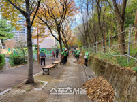 광주광역시 서구, 노인일자리 통한 환경정비 추진