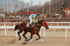 계급장 떼고 스피드로 맞붙는 1400m 레이스에 주말 경마 후끈