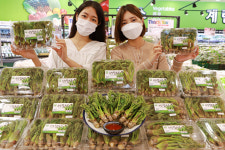 [포토] 롯데마트, 제철 나물 순창 참두릅 판매