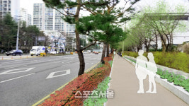 수원시, 장안·권선구 서부로 1km 아름다운 가로수길 조성