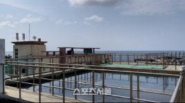 대봉엘에프 종합수산기업 도약, 생물보안 양식+친환경 사료+종자 개발