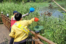 광주광역시 광산구, ‘모기 천적’ 미꾸라지로 생태방역