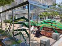보성군, 특색 있는 청사 만들기 벌교읍은 ‘태백산맥’