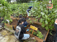 곡성군, 학교 텃밭정원 가꾸기 생태 감수성 쑥쑥