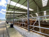 화순군, 친환경 축산 지원 사업 추진