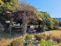 항일 운동의 성지, 가고 싶은 섬 소안도가 신음하고 있다