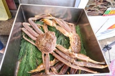 [스포츠서울 고객신뢰도대상: 삼천포대게도매직판장]강구항 대게 전문점 푸짐한 서비스 제공