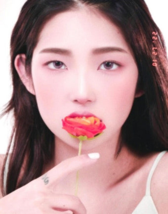 '배우 데뷔 준비' 최준희,母 최진실과 닮은꼴 미모로 근황[SNS]