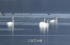 고창운곡습지, 체험프로그램 마련…‘운곡습지 자연의소리’ 등 진행 예정