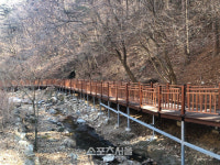 안양시 안양 6경 수리산이 봄맞이 등산객을 기다립니다
