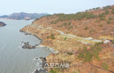 영광군, 국내 최대 규모 모감주나무 군락지 조성