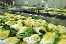 해남군, K-푸드 대표주자‘김치’지역성장동력으로 육성