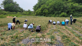 해남교육지원청 농촌 봉사활동 실시