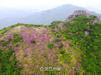 잊을 수 없는 미식(美食) 감동, 볼거리는 덤…장흥 여행
